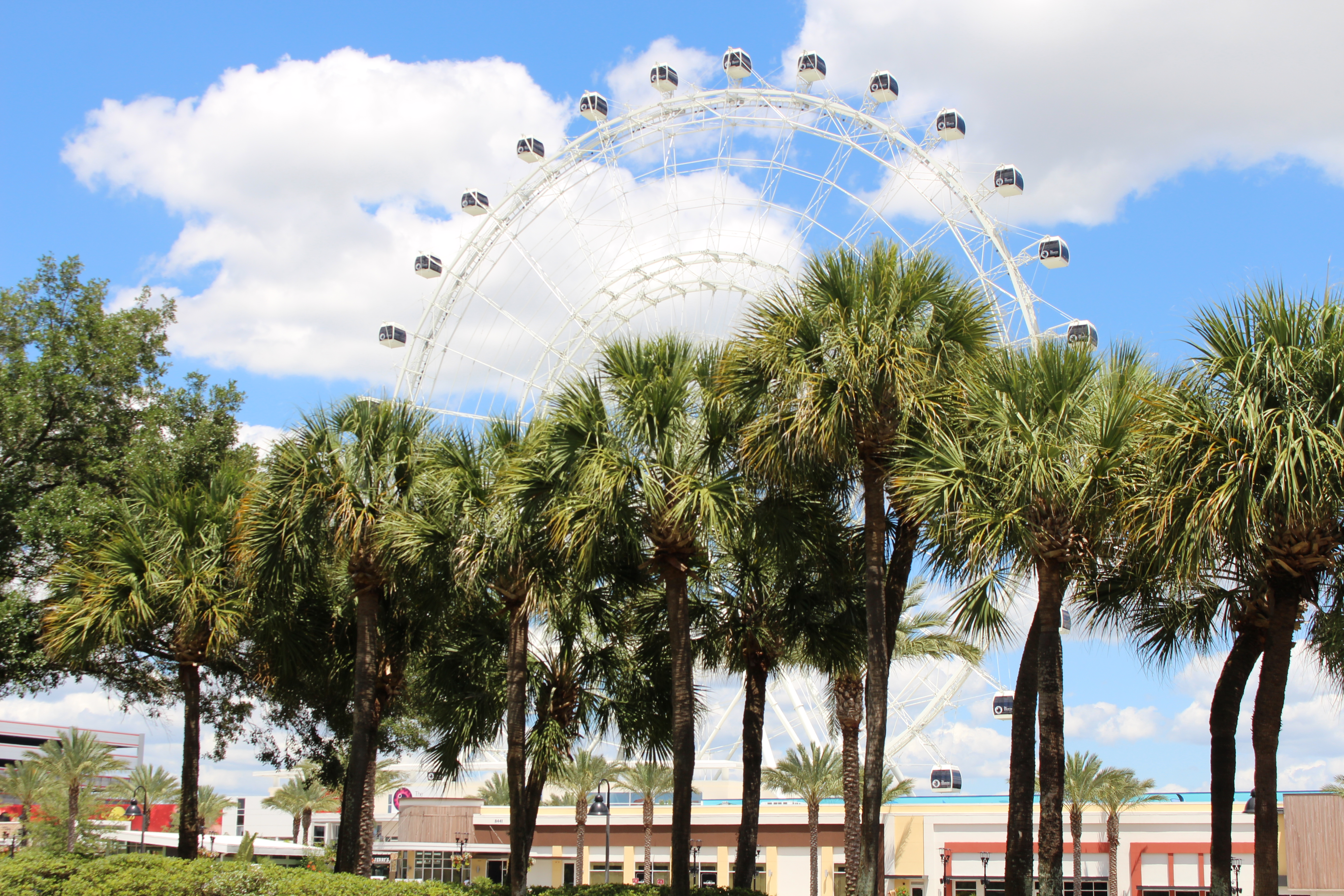 Orlando Eye