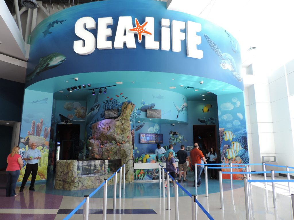 Sea Life Aquarium Orlando