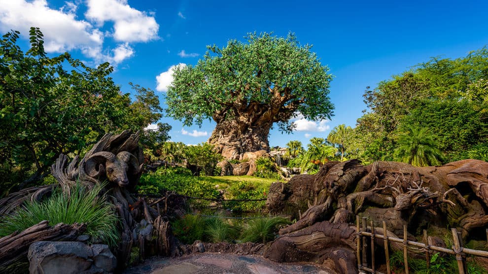 animal kingdom