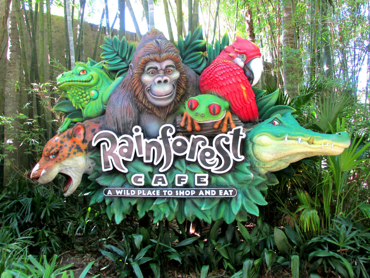 Rainforest Cafe - Animal Kingdom