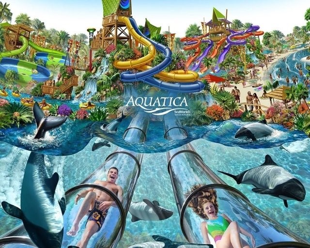 aquatica