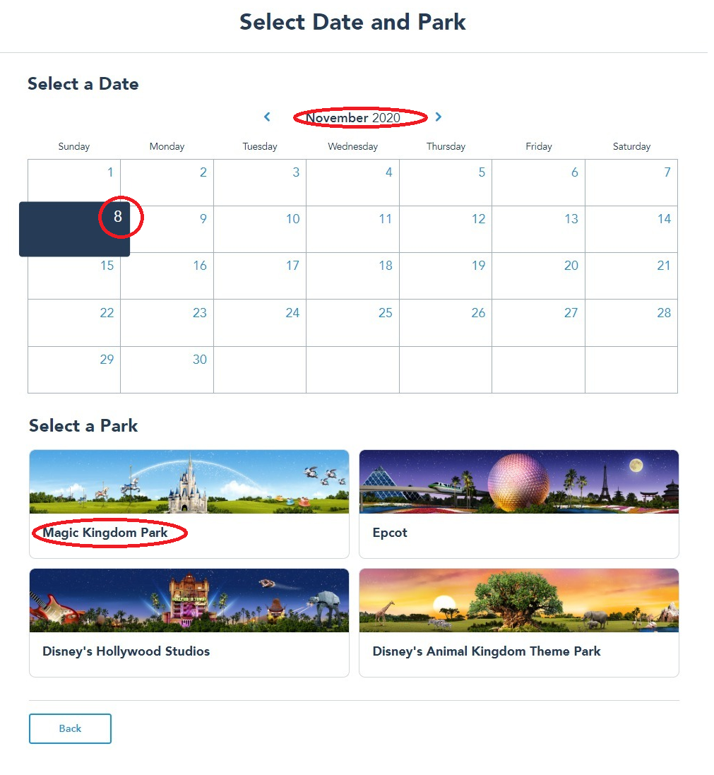 Disney Park Pass System