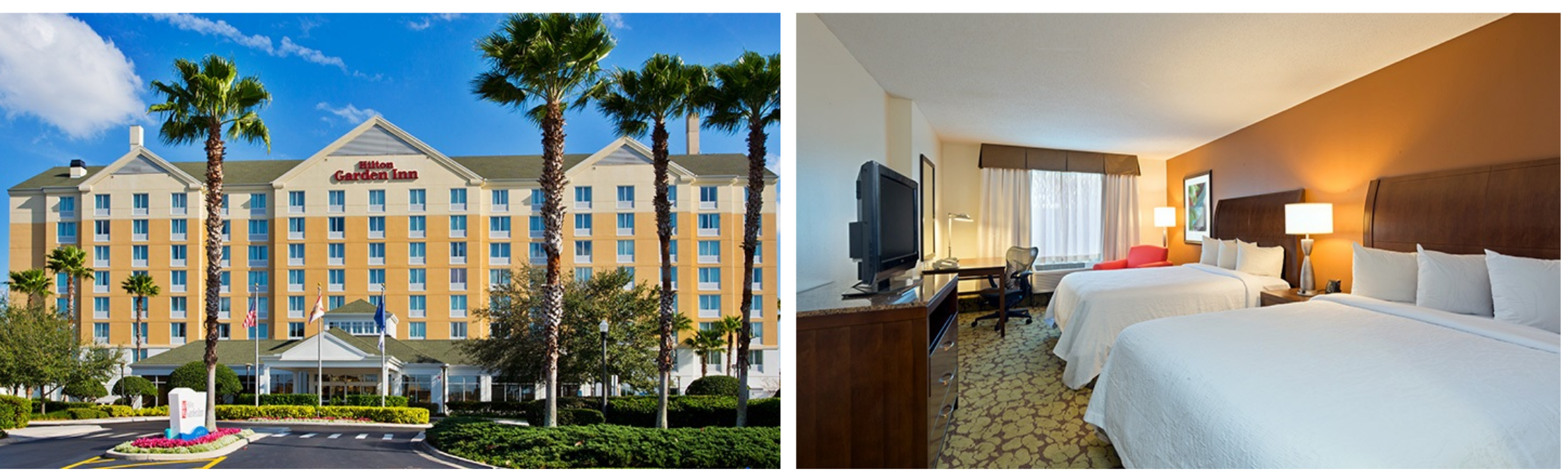 hilton garden inn orlando