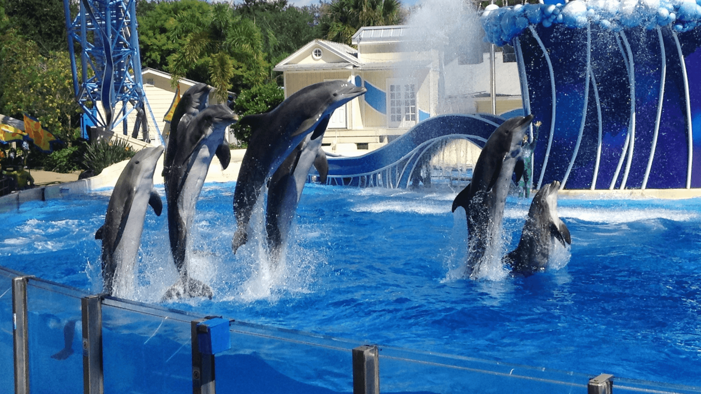 show seaworld